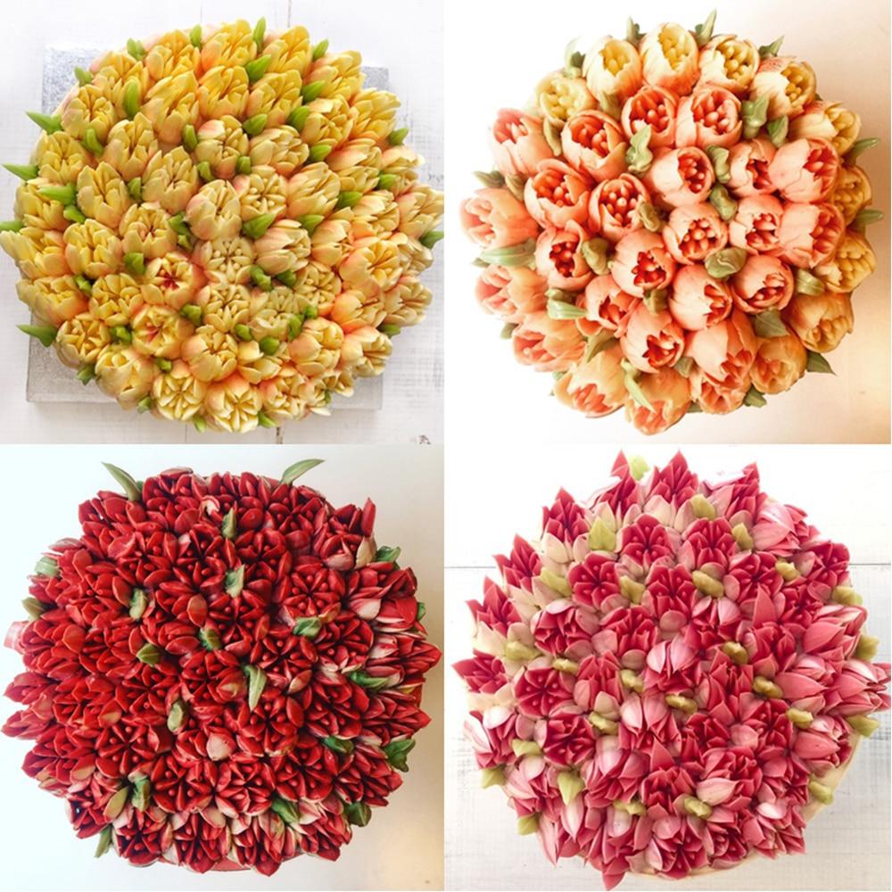 7pcs Cream Nozzles-Grand Kitchen