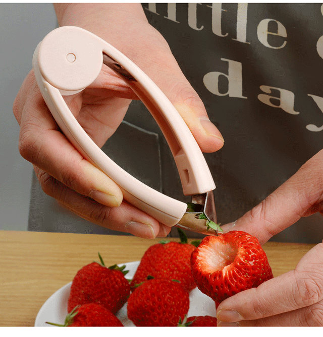 Stainless Steel Convenient Vegetable and Fruit Seed Remover-Grand Kitchen