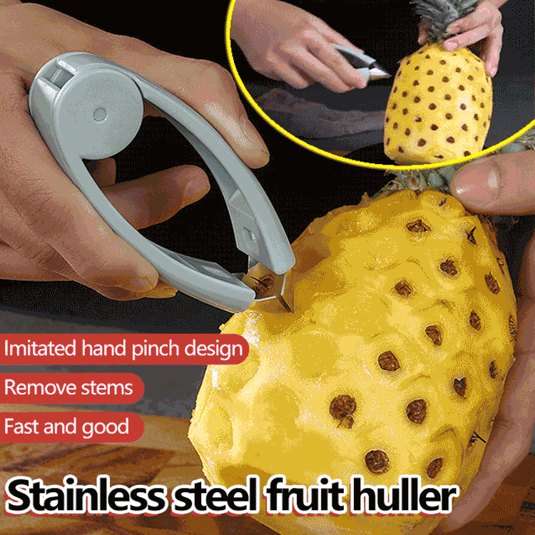 Stainless Steel Convenient Vegetable and Fruit Seed Remover-Grand Kitchen