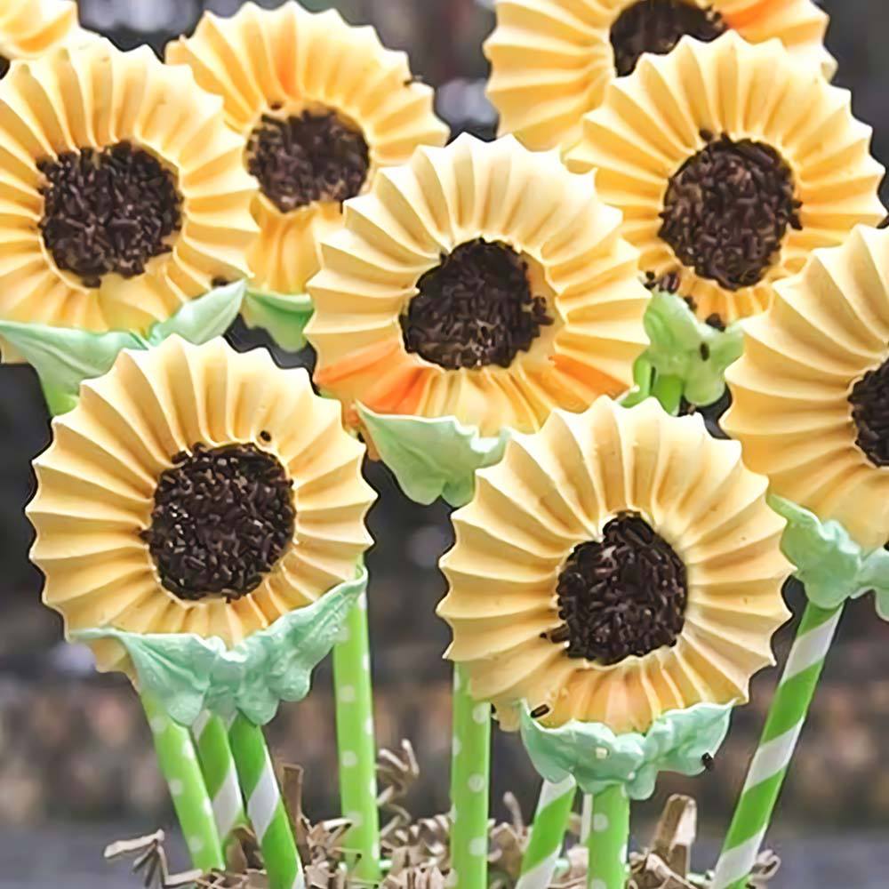 Big Icing Piping Nozzle-Grand Kitchen