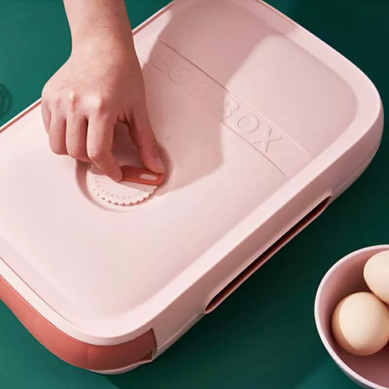 New Drawer Type Egg Storage Box-Grand Kitchen