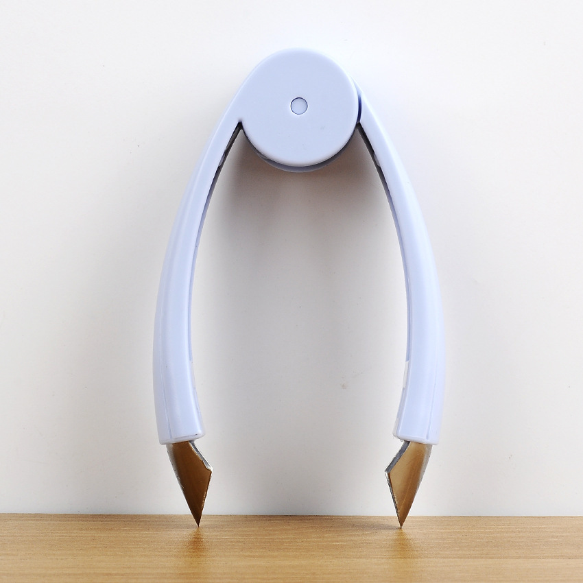 Stainless Steel Convenient Vegetable and Fruit Seed Remover-Grand Kitchen