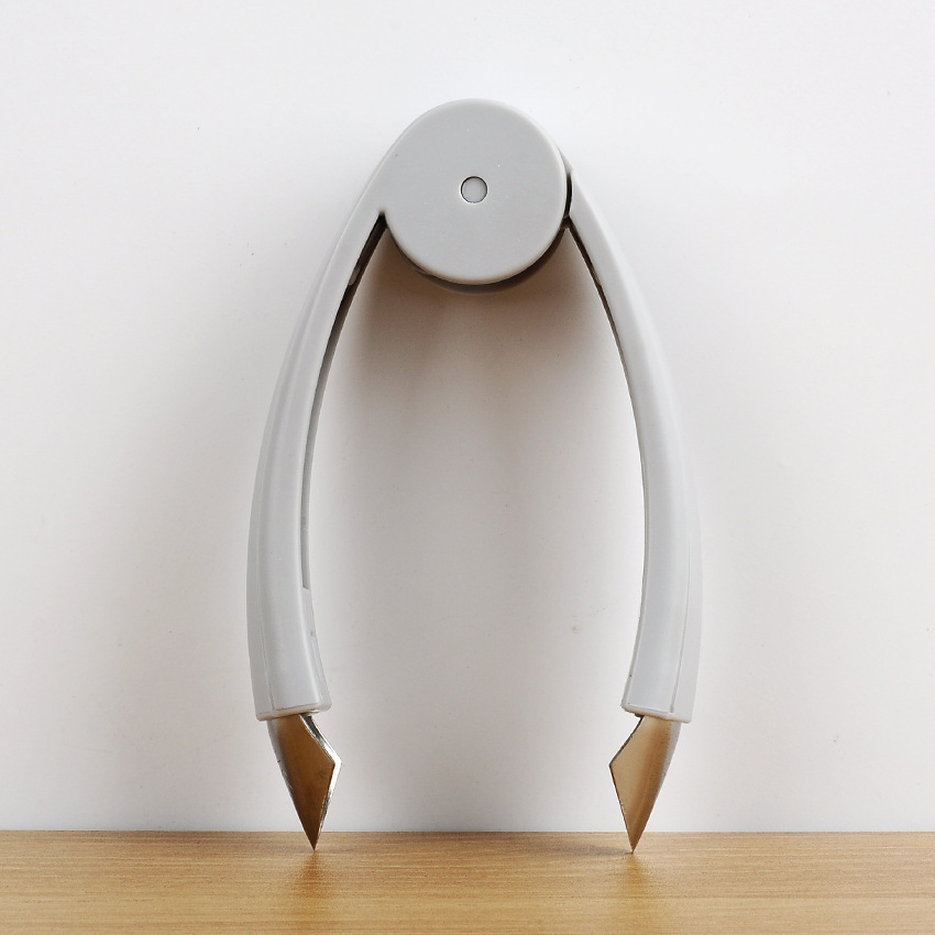 Stainless Steel Convenient Vegetable and Fruit Seed Remover-Grand Kitchen