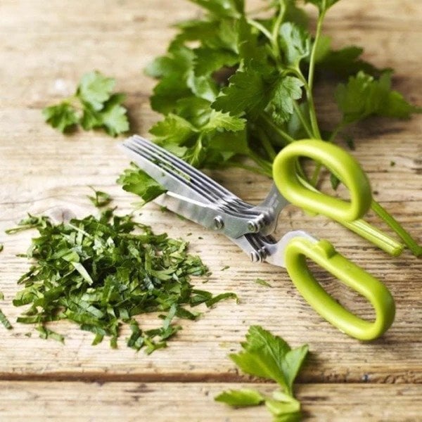 Hot Sale For Kitchen Multi Blade Herb Scissors-Grand Kitchen