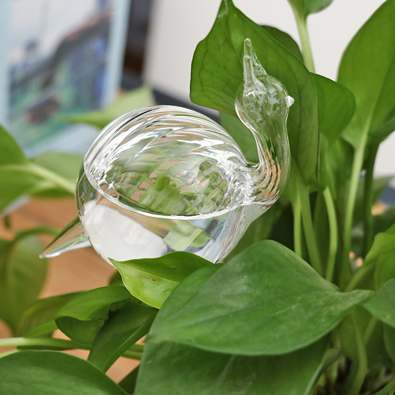 🌻Watering Plant Glass Bulbs