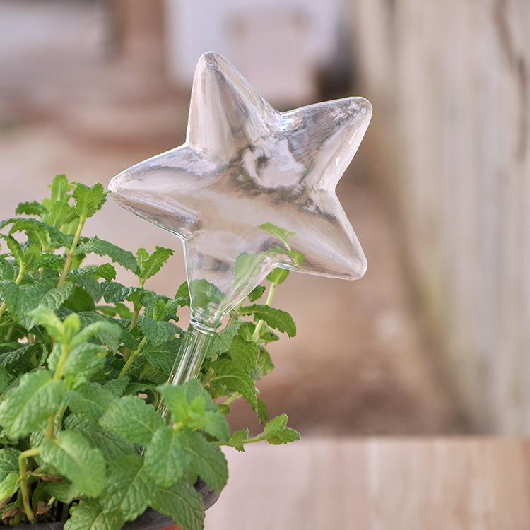 🌻Watering Plant Glass Bulbs
