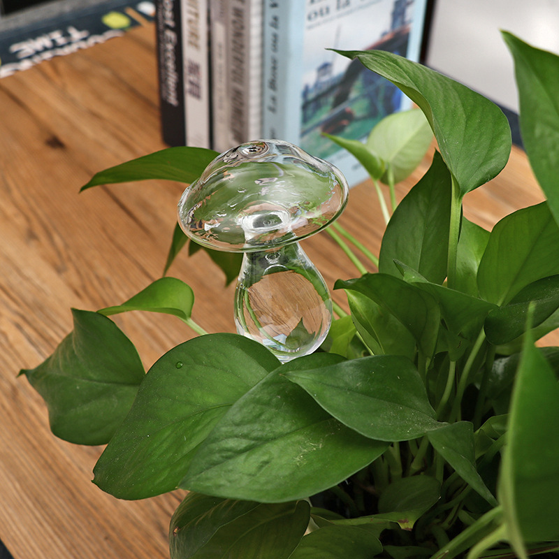 🌻Watering Plant Glass Bulbs