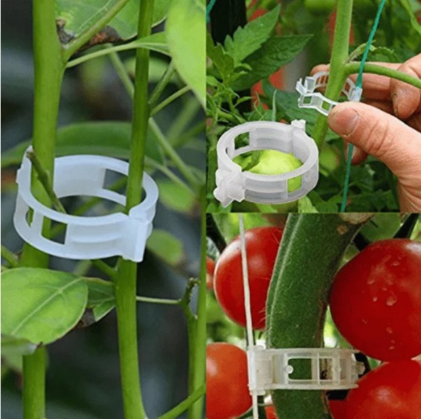 🍅Plant Support Clips