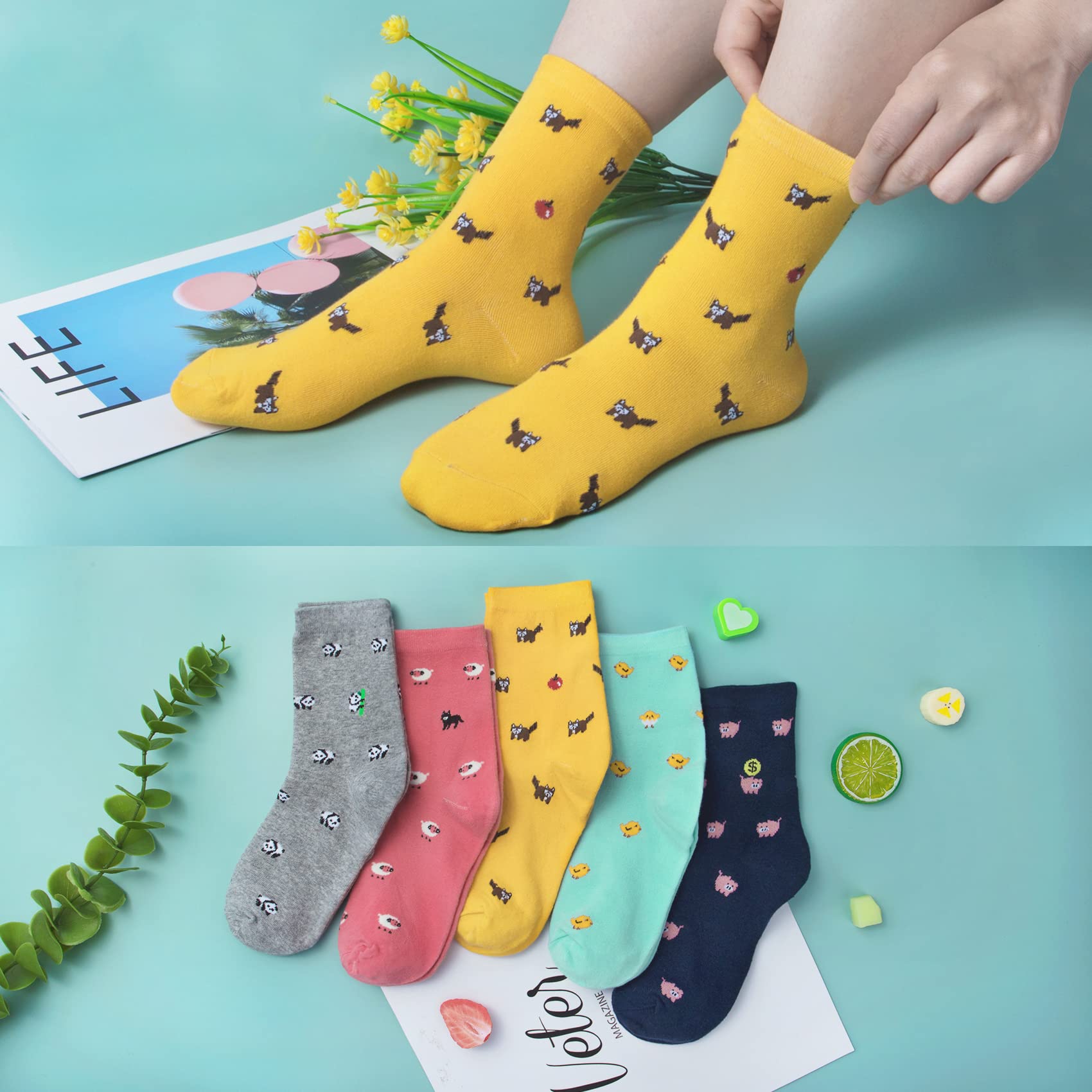 5 Pairs Womens Funny socks