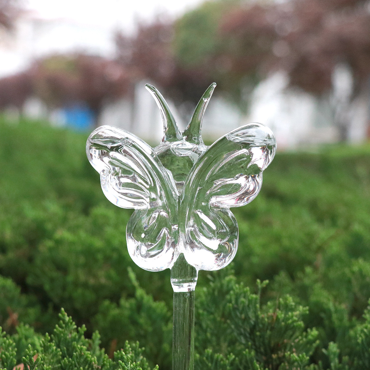 🌻Watering Plant Glass Bulbs