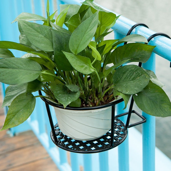 Iron Art Hanging Baskets Plant Pot 