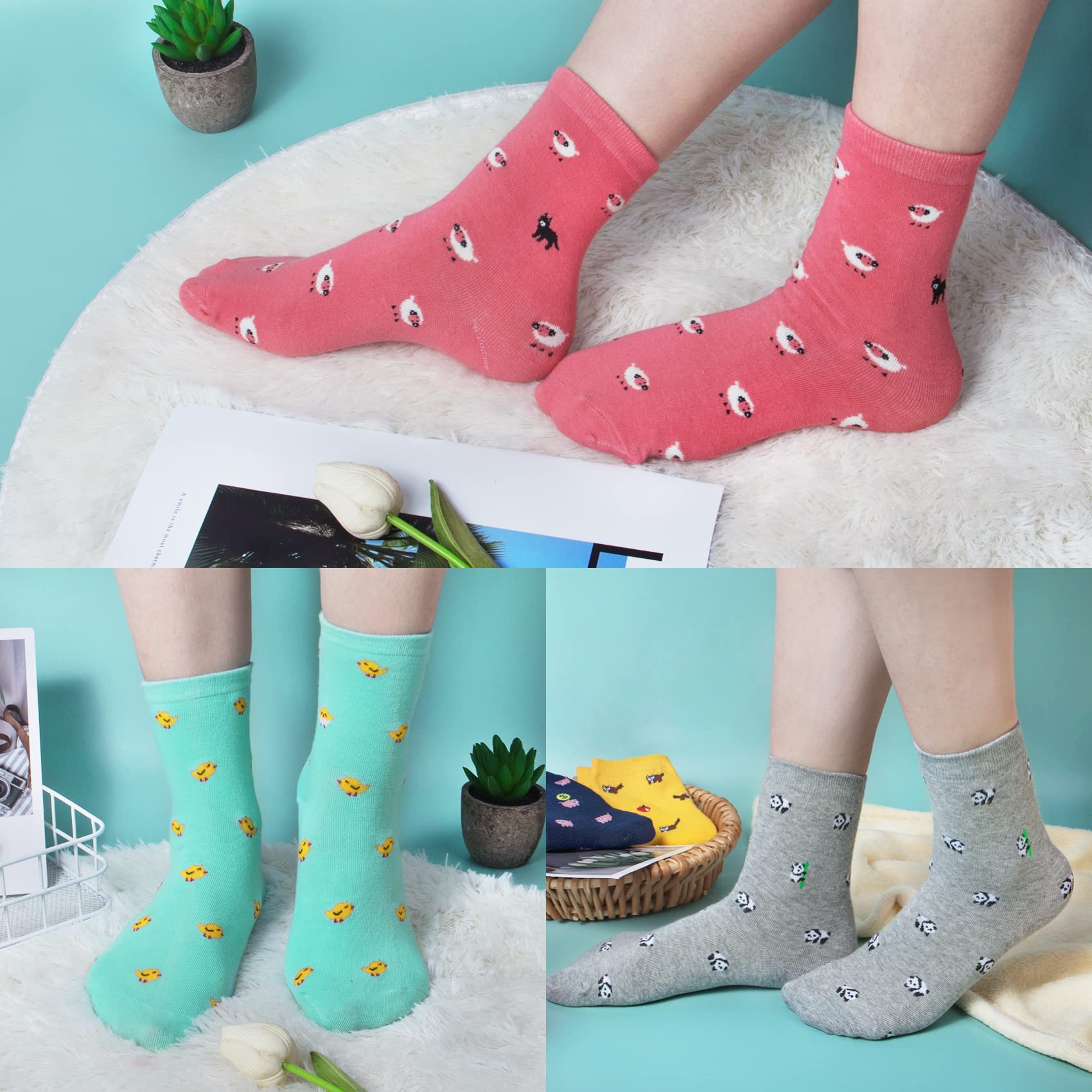 5 Pairs Womens Funny socks