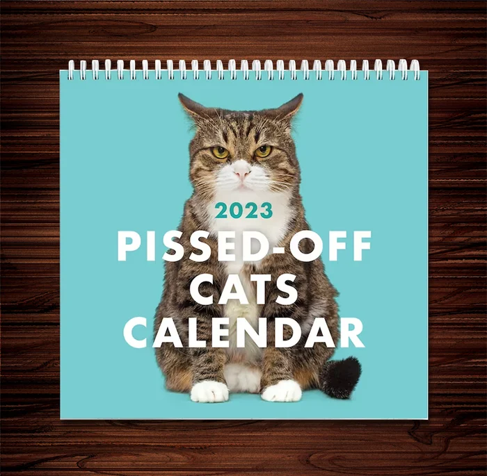 🎊NEW ARRIVAL🎊 😾2023 Pissed-Off Cats Calendar
