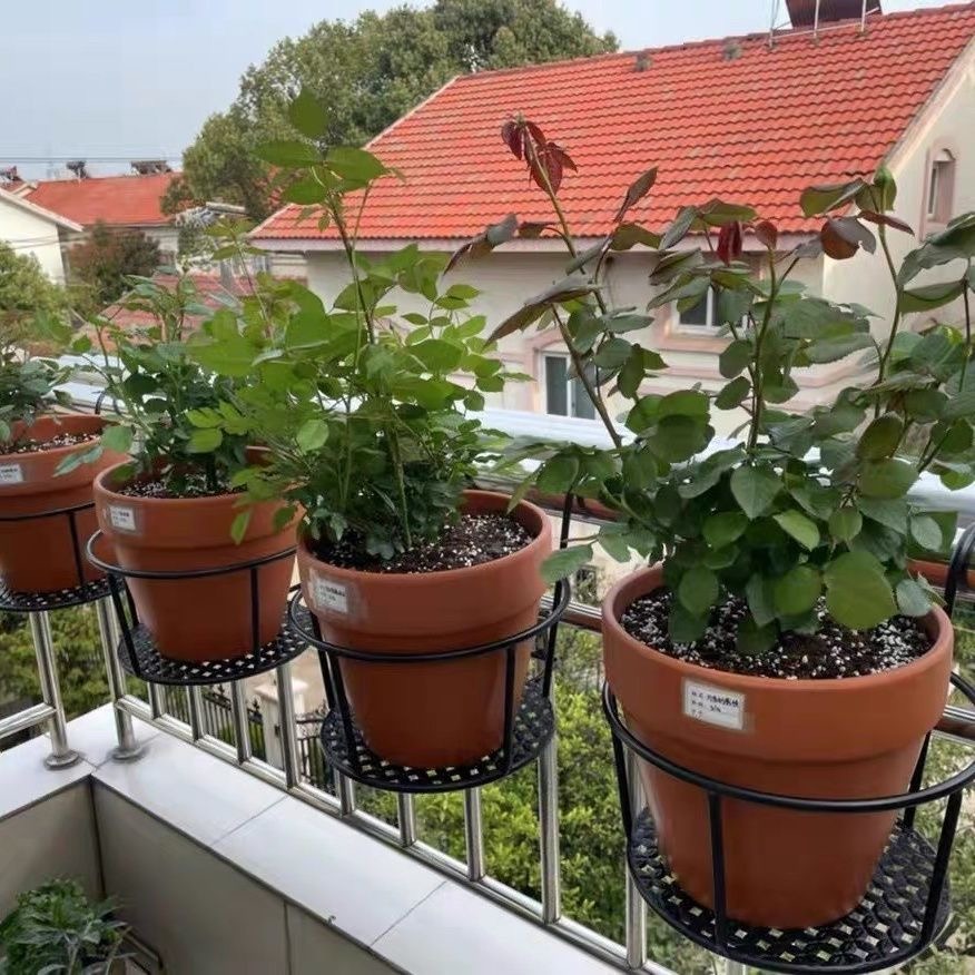 Iron Art Hanging Baskets Plant Pot 