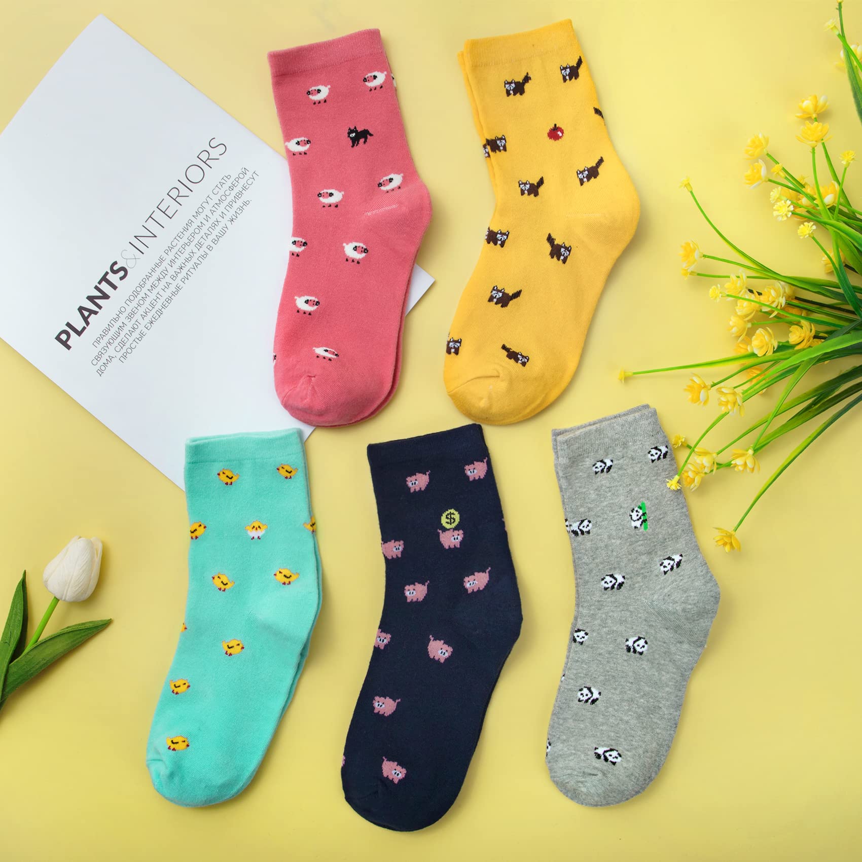 5 Pairs Womens Funny socks