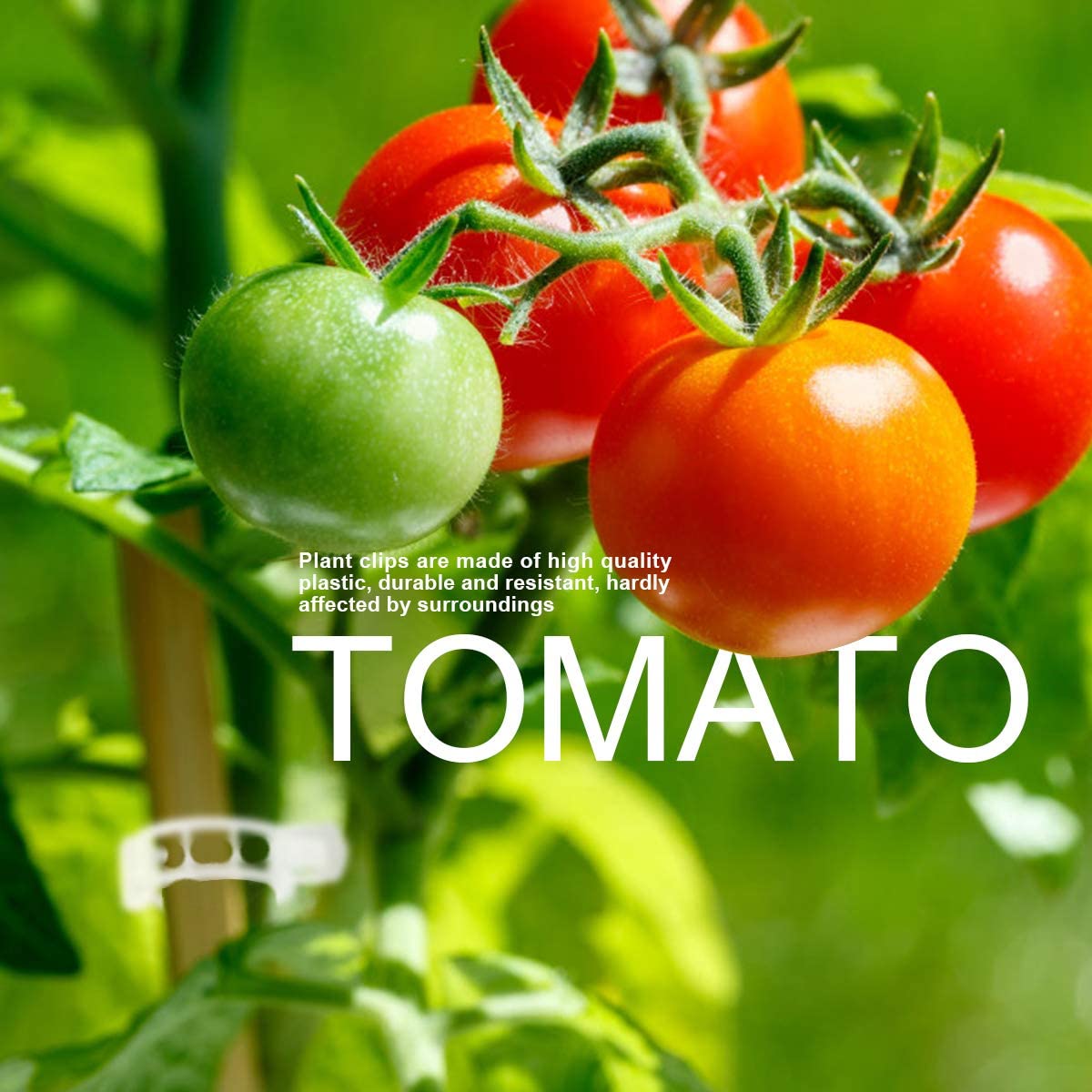 🍅Plant Support Clips
