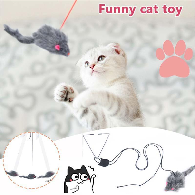 🐱Funny Cat Toy