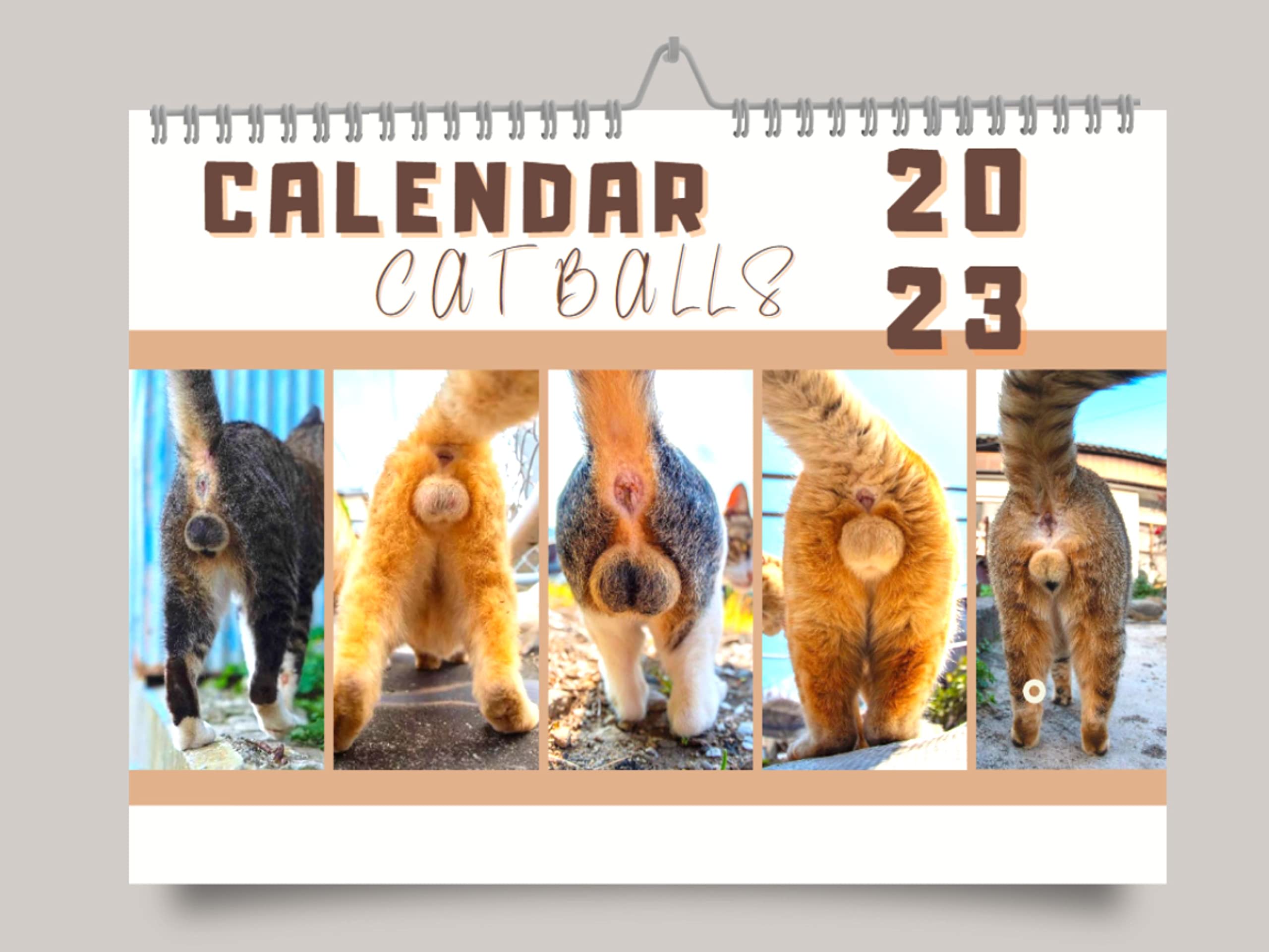 🐈Cat Butthole Calendar 2023 😻