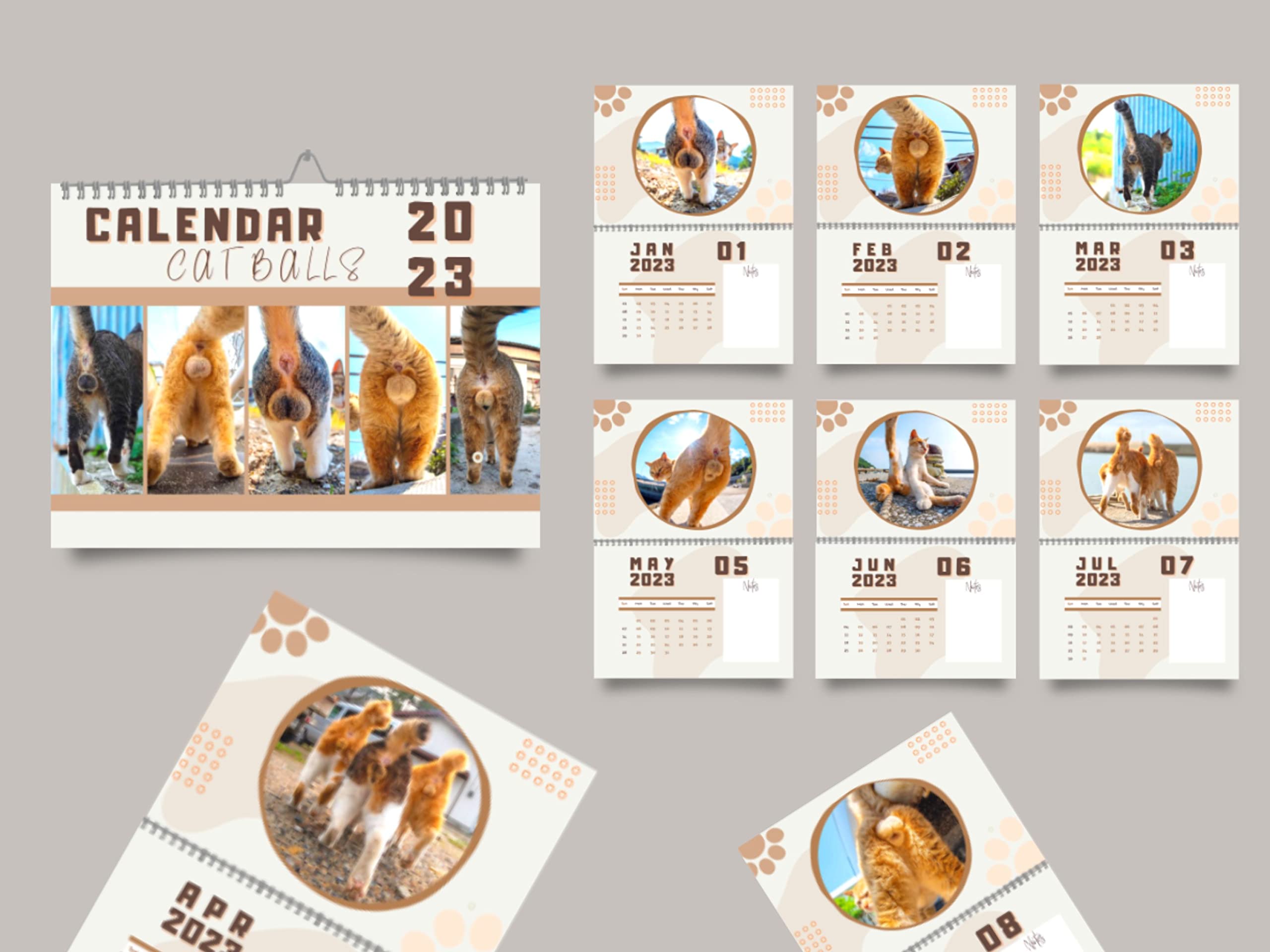 🐈Cat Butthole Calendar 2023 😻