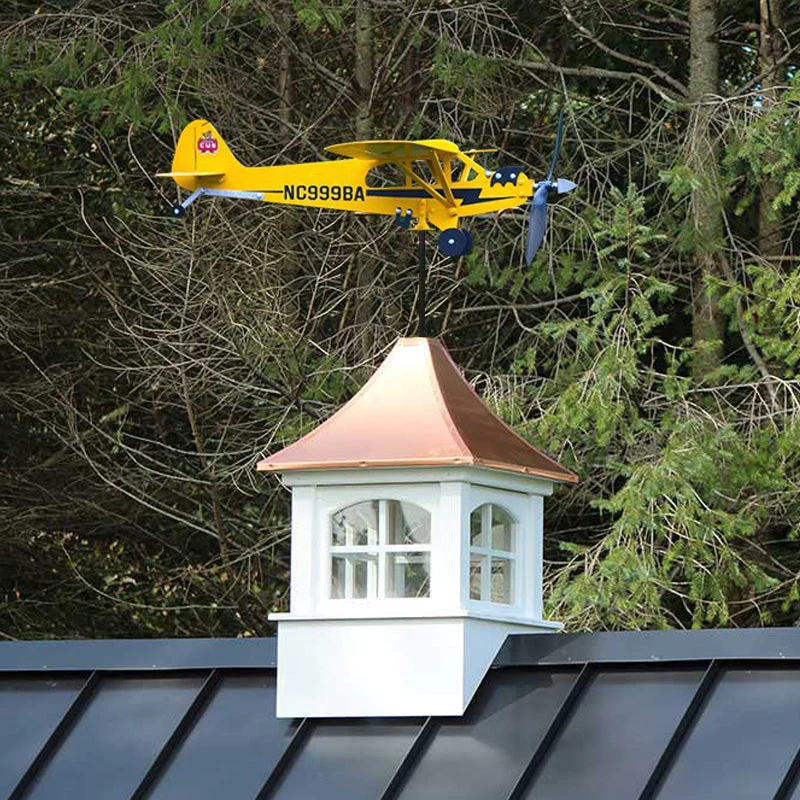 Airplane Weathervane✈