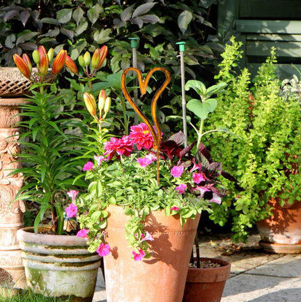 A Rusted Heart Stake in the Garden