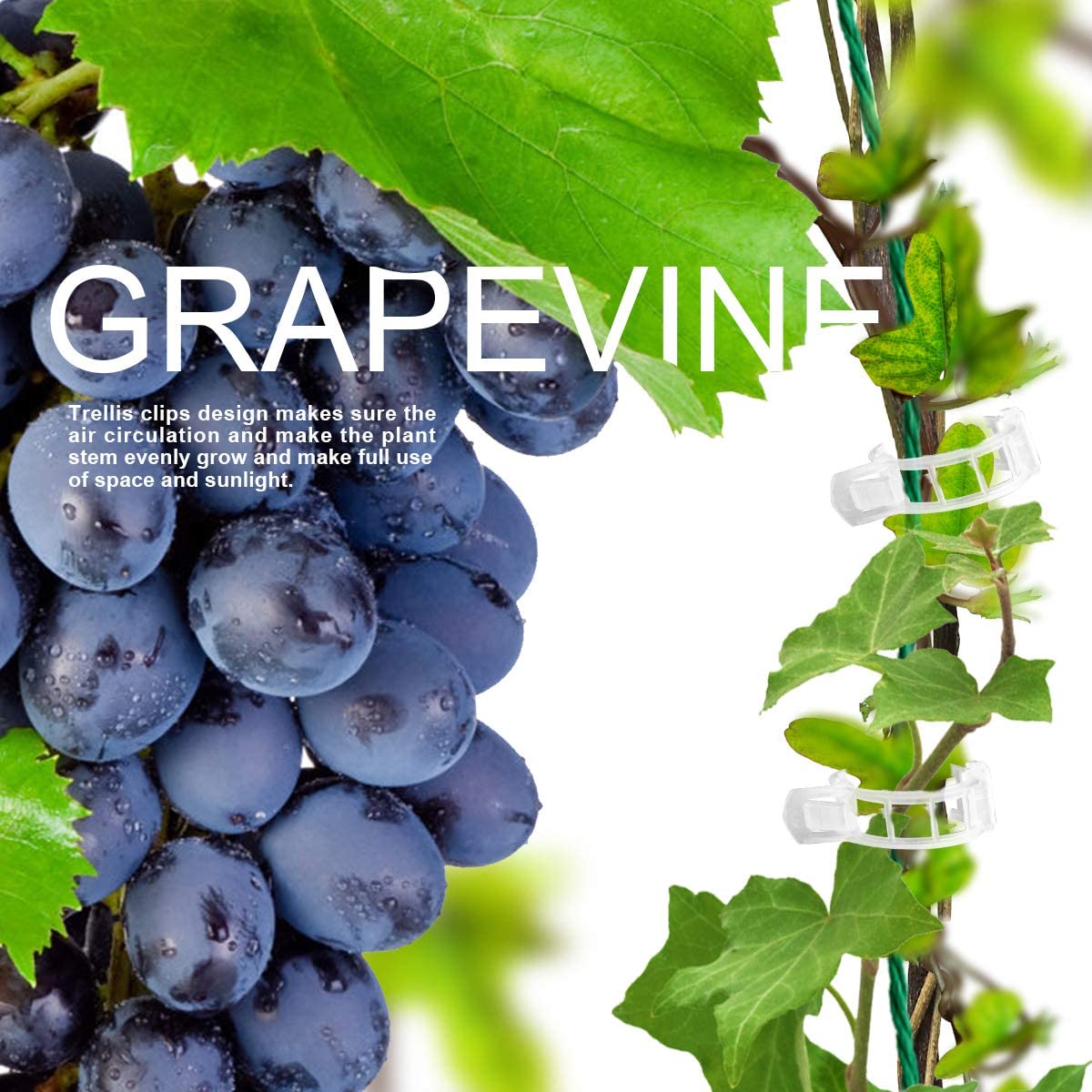 🍅Plant Support Clips