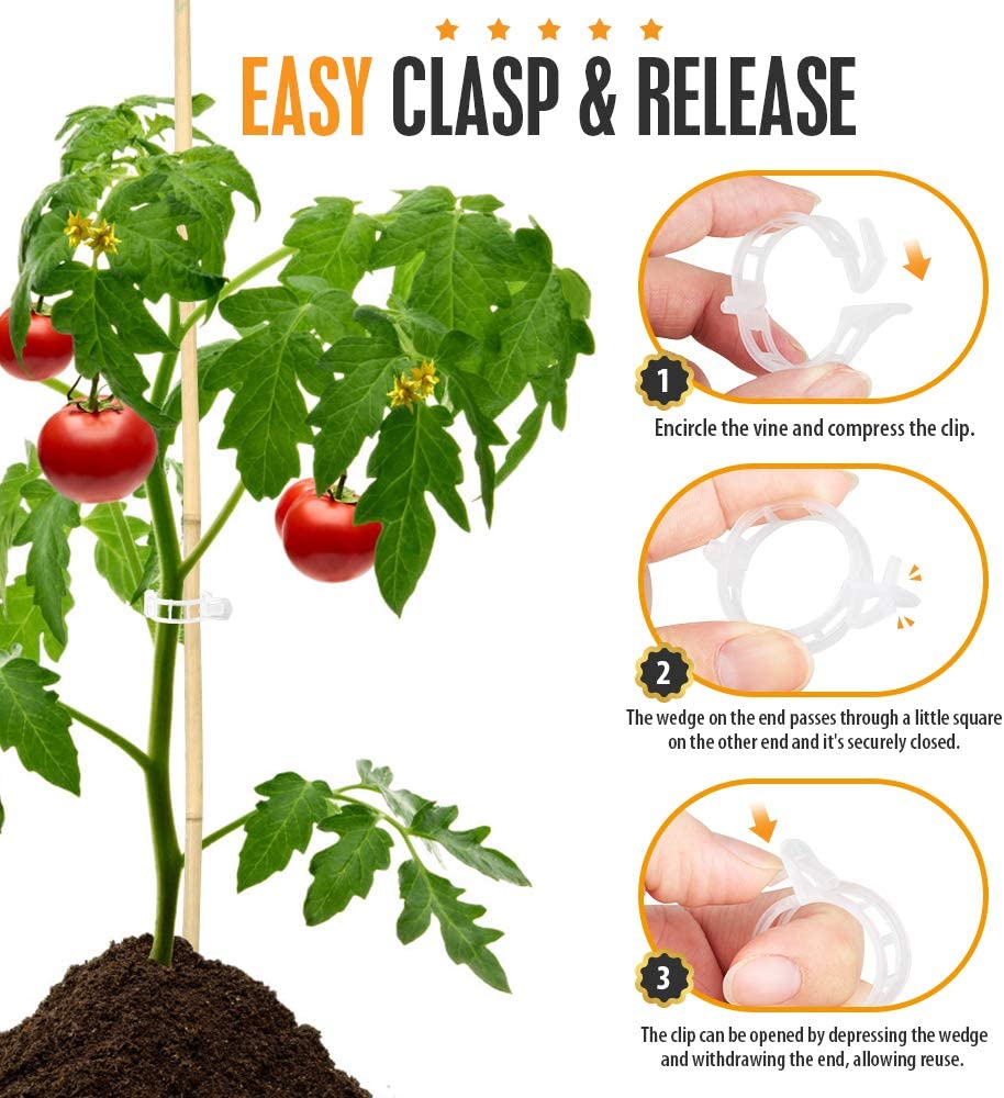 🍅Plant Support Clips