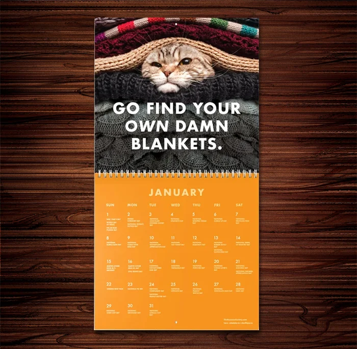 🎊NEW ARRIVAL🎊 😾2023 Pissed-Off Cats Calendar