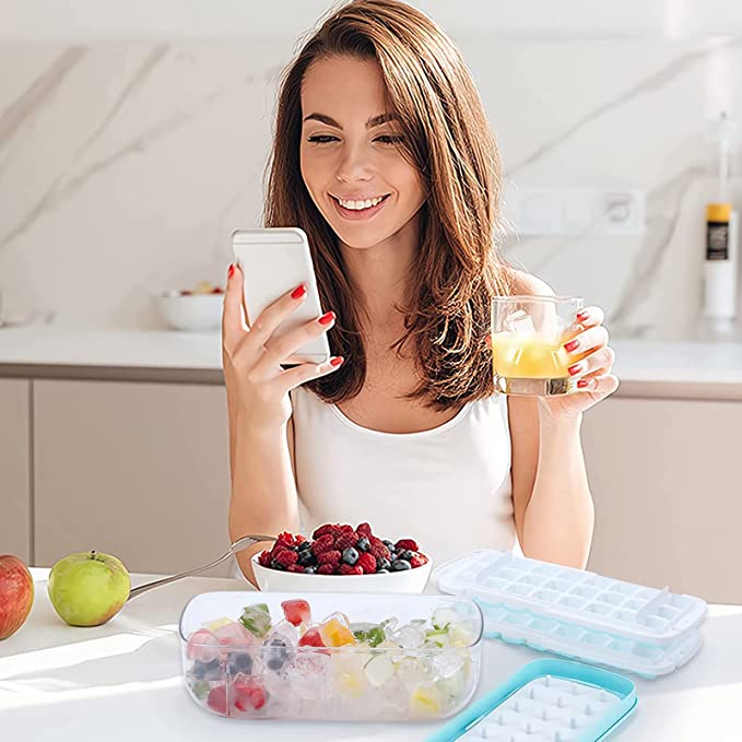 Press type Ice Cube Maker