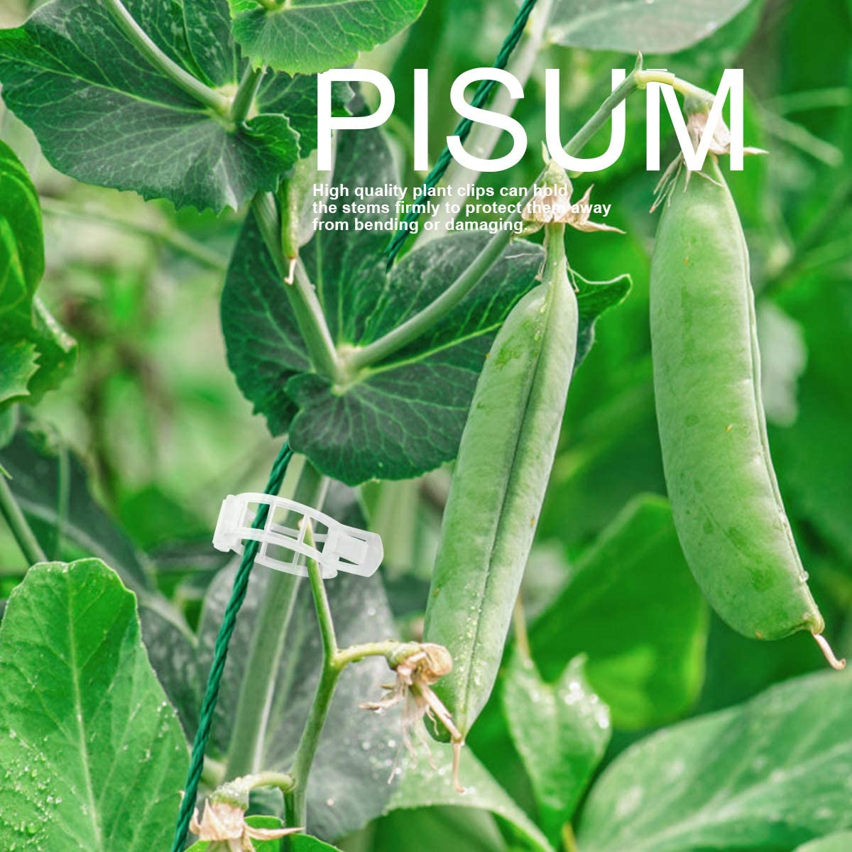 🍅Plant Support Clips