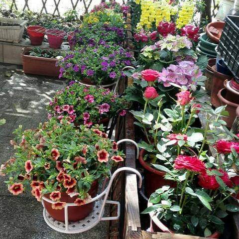 Iron Art Hanging Baskets Plant Pot