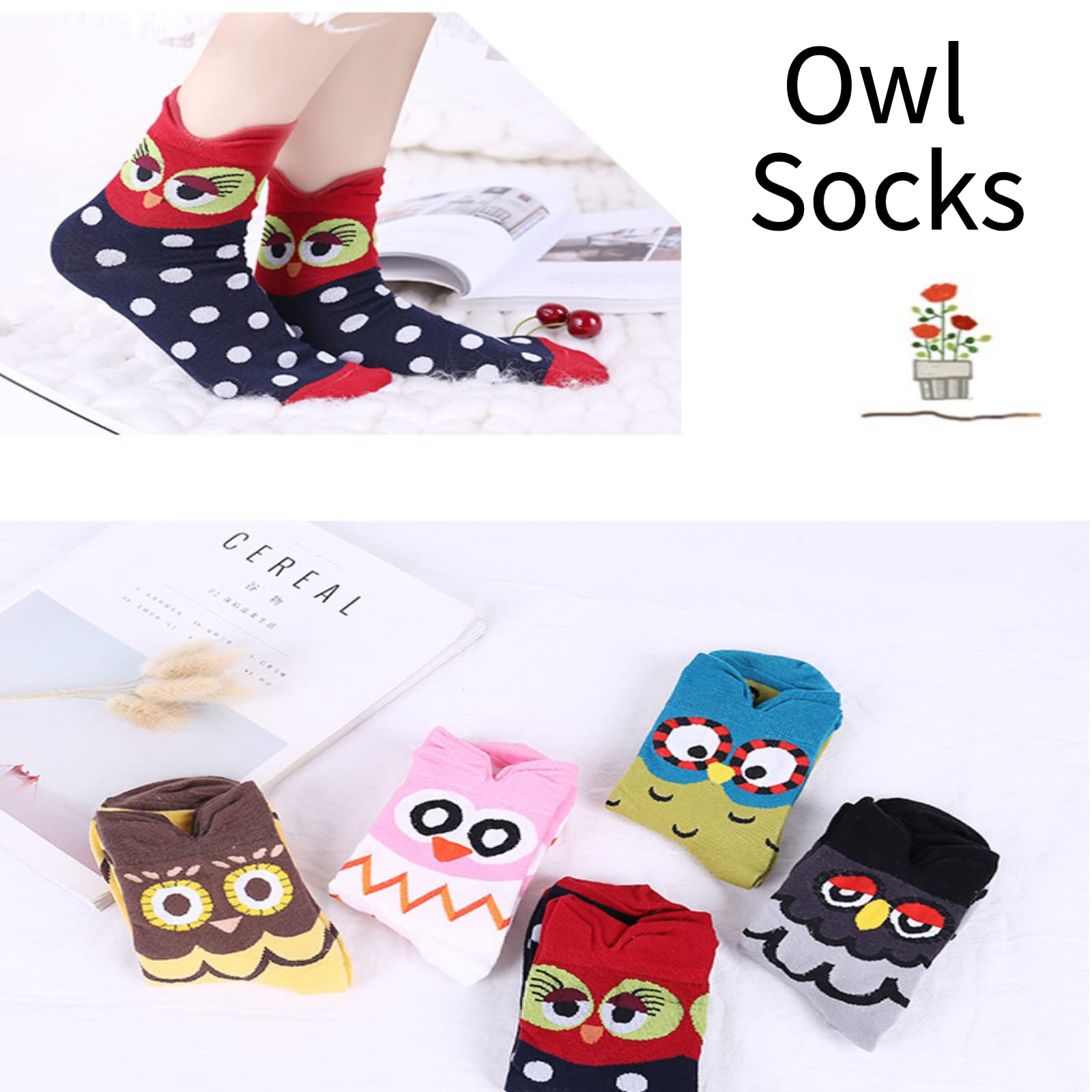 5 Pairs Womens Funny socks