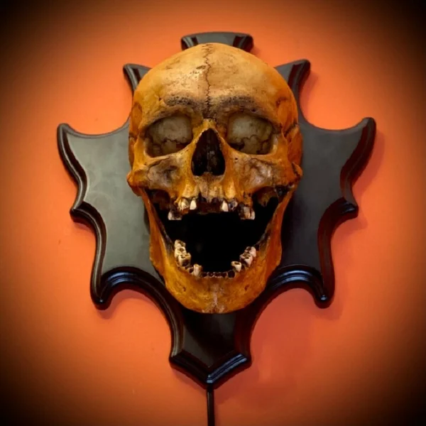 💀Skull Lamp Night Light