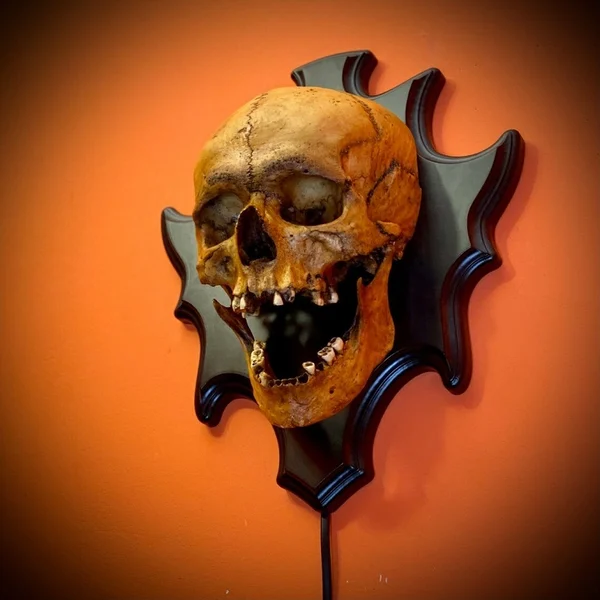 💀Skull Lamp Night Light