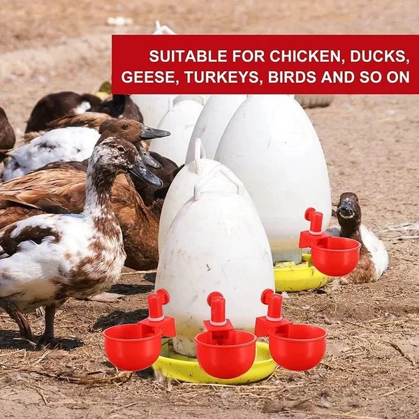 Automatic Feeders For Chickens And Ducks