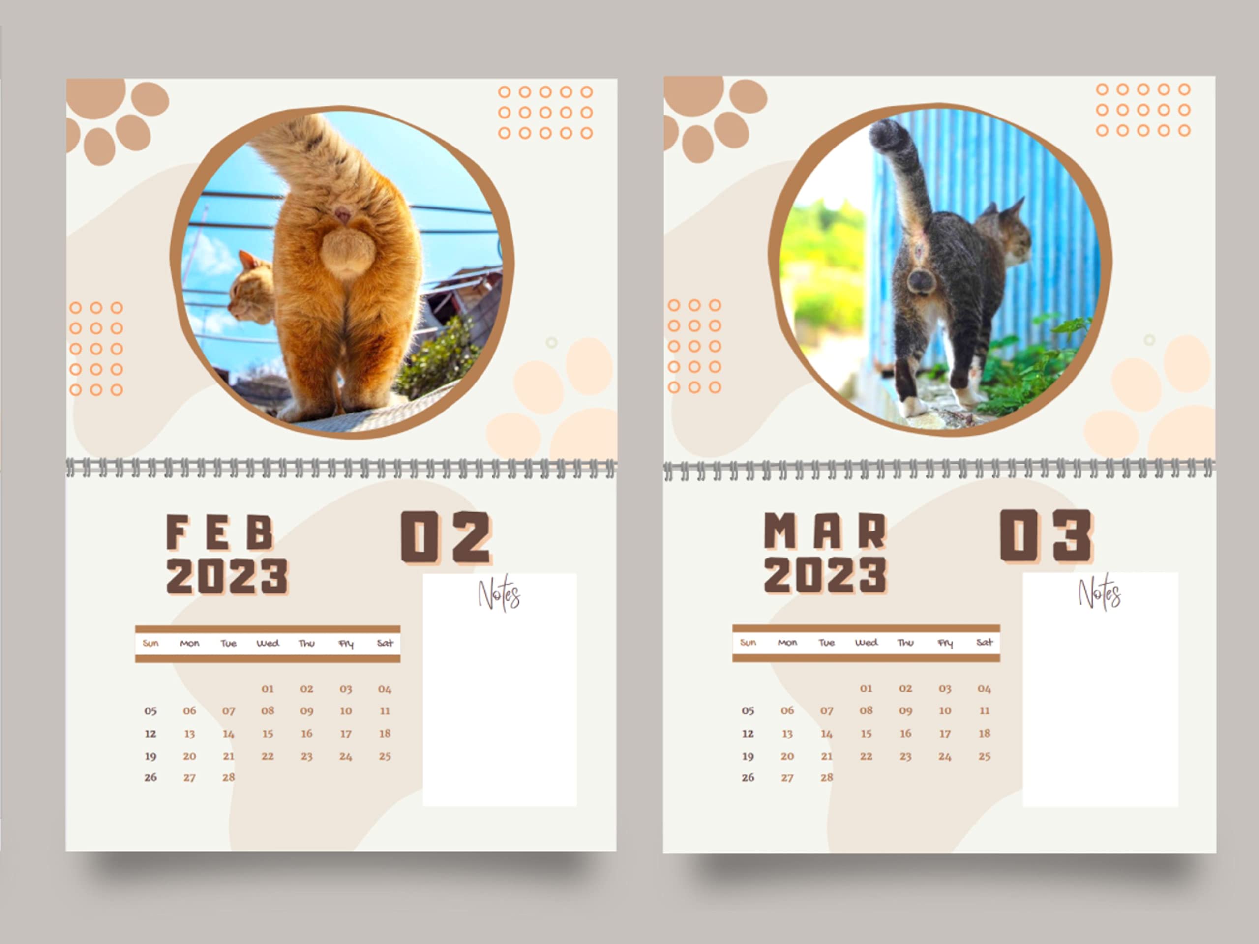 🐈Cat Butthole Calendar 2023 😻