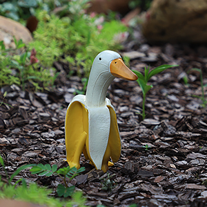 Garden Decor