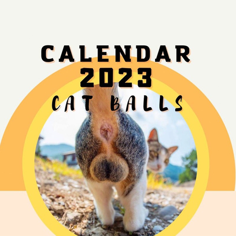 🐈Cat Butthole Calendar 2023 😻