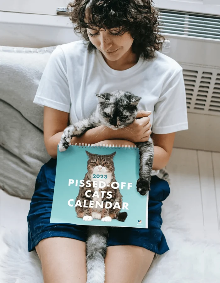 🎊NEW ARRIVAL🎊 😾2023 Pissed-Off Cats Calendar