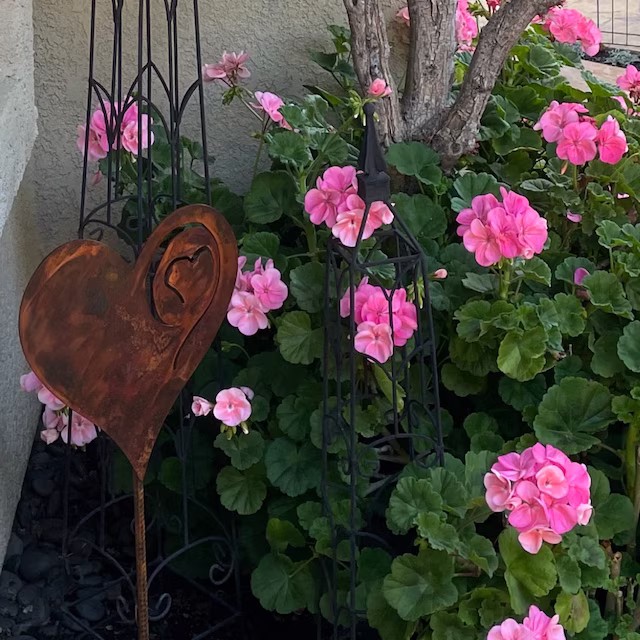 A Rusted Heart in the Garden💖