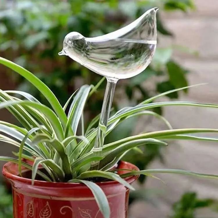 🌻Watering Plant Glass Bulbs