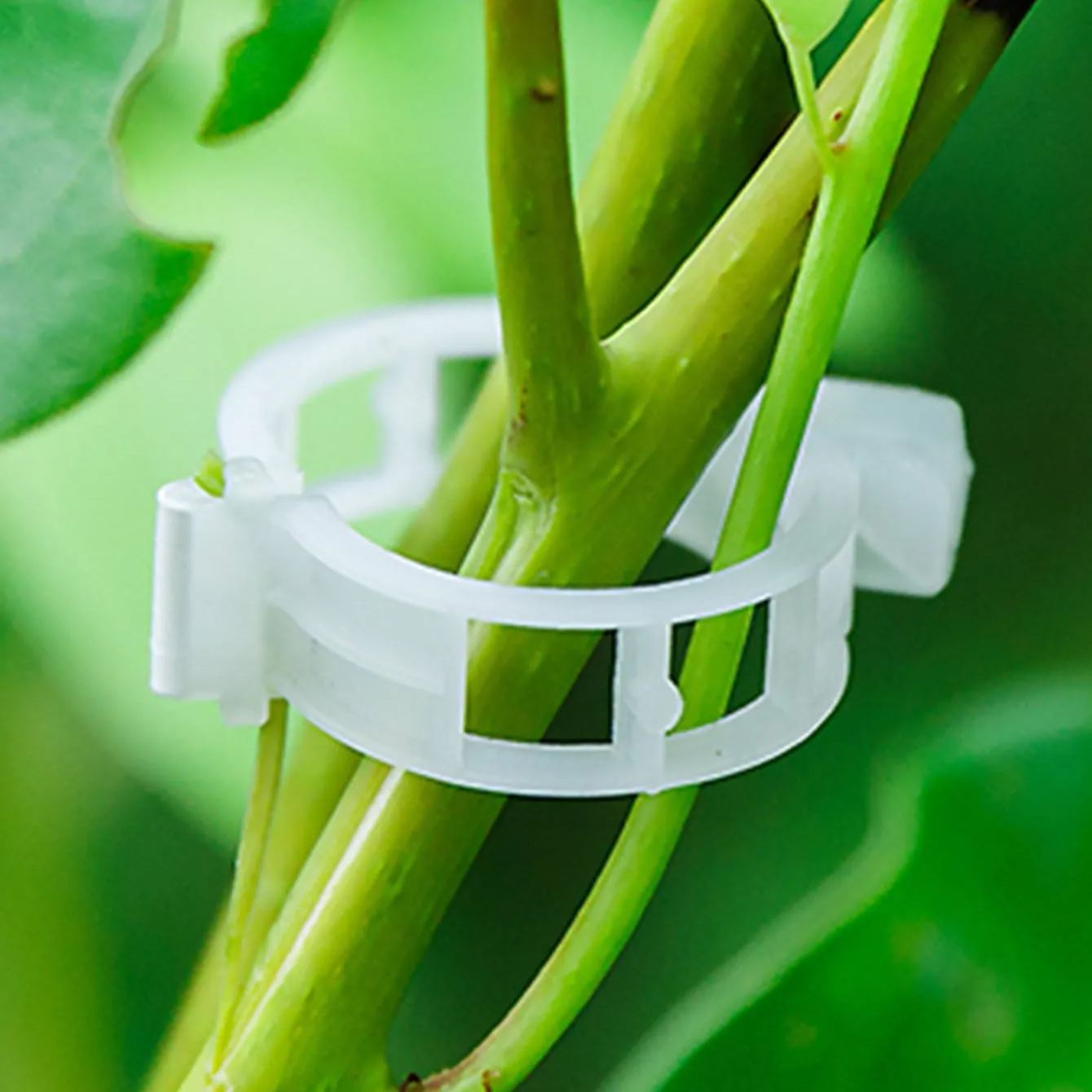🍅Plant Support Clips