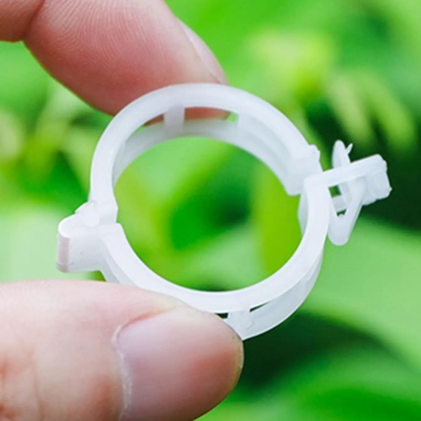 🍅Plant Support Clips