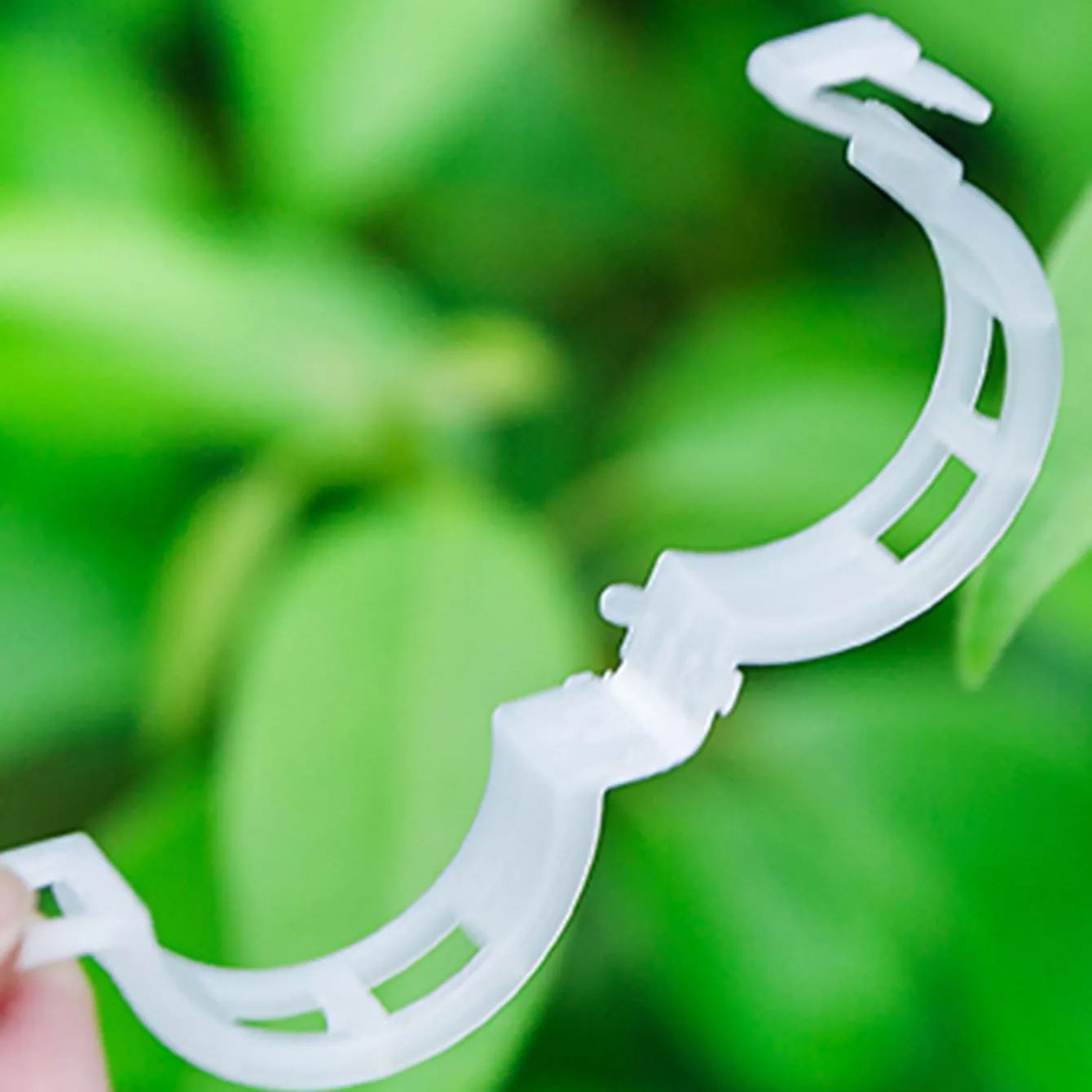 🍅Plant Support Clips