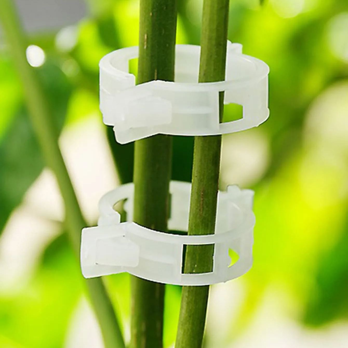 🍅Plant Support Clips