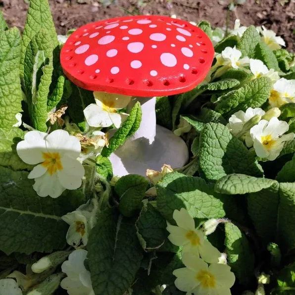 🍄Mushroom Earring Holder Decorative Ornament