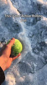 Active Rolling Ball (4 Color Covers Included)