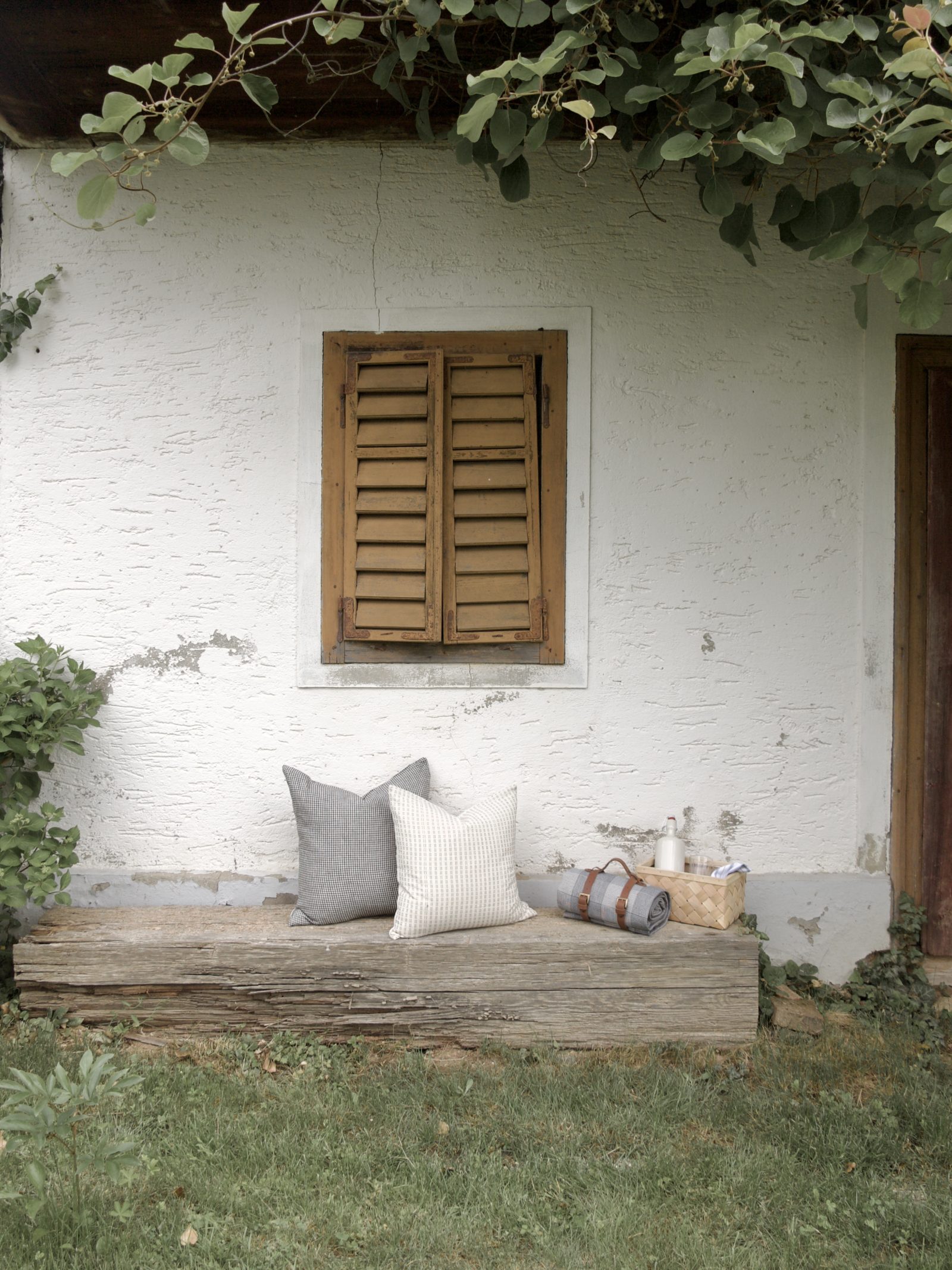 marta cotton cushion cover