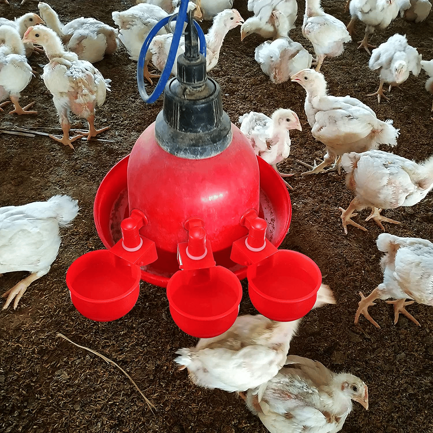(⚡Flash Sale Today - 50% OFF) 6PCS/SET Automatic Poultry Drinking Bowl