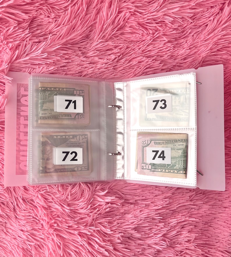 100 Envelope Cash Stuffing Savings Challenge Binder